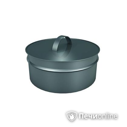 Заглушки Теплов и Сухов Заглушка ревизии Термо-Р 304 0.5 D220(120) в Домодедово